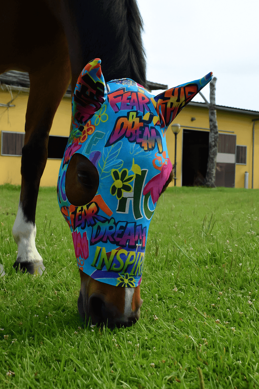 /images/works/maschera_cavallo_second.png
